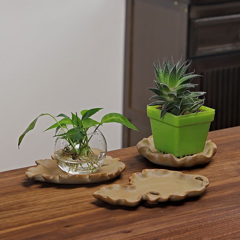 Brezilya Ahşap Hidroponik Bitk - Drip Tray Saucer incelemesi ve fiyatı