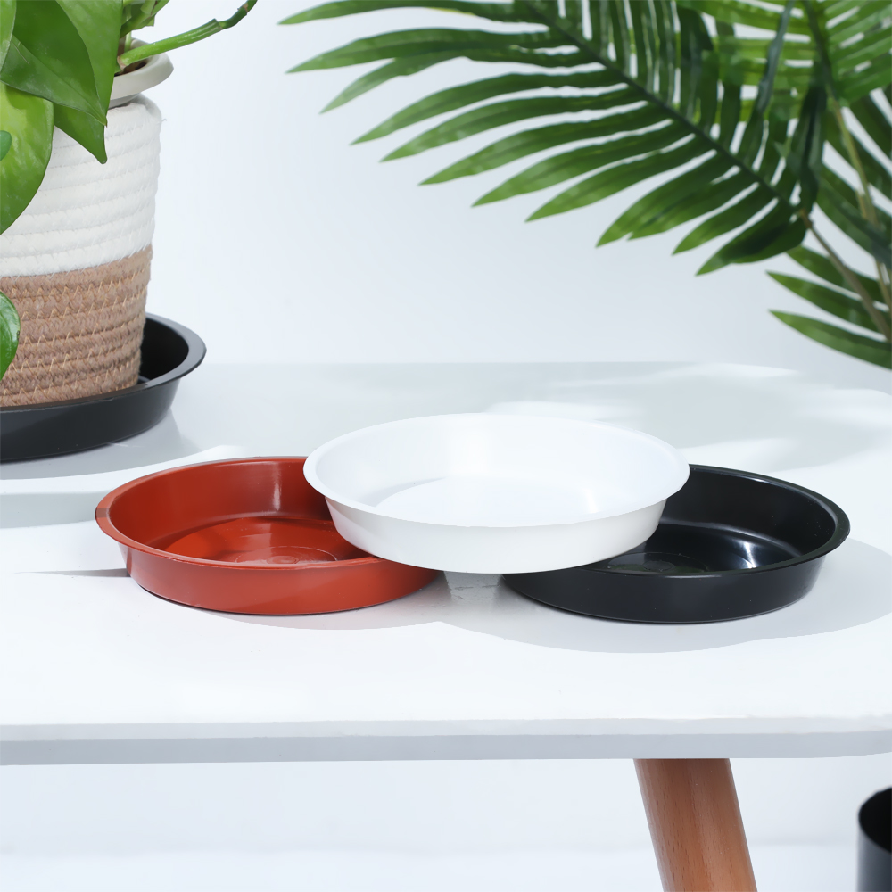3 adet yuvarlak şekilli bitki  - Drip Tray Saucer incelemesi ve fiyatı