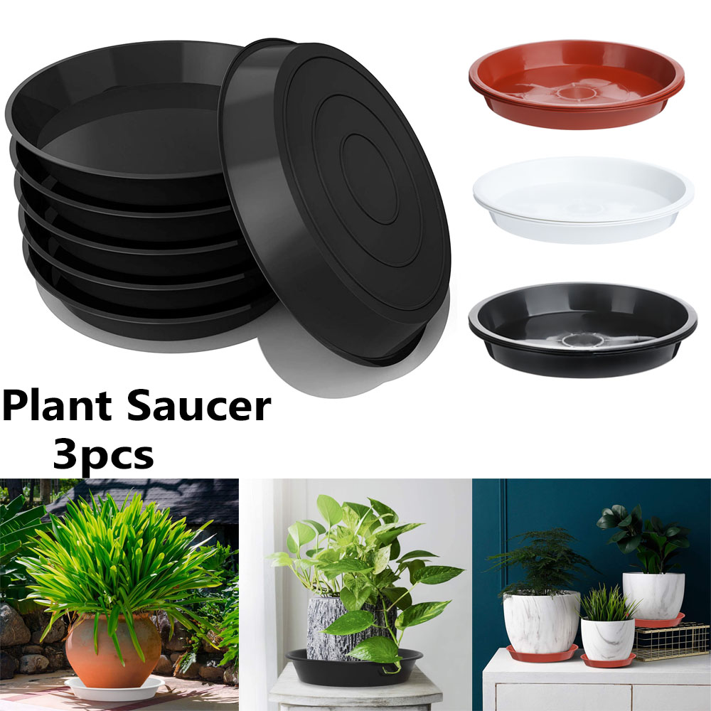 3 adet yuvarlak şekilli bitki  - Drip Tray Saucer incelemesi ve fiyatı