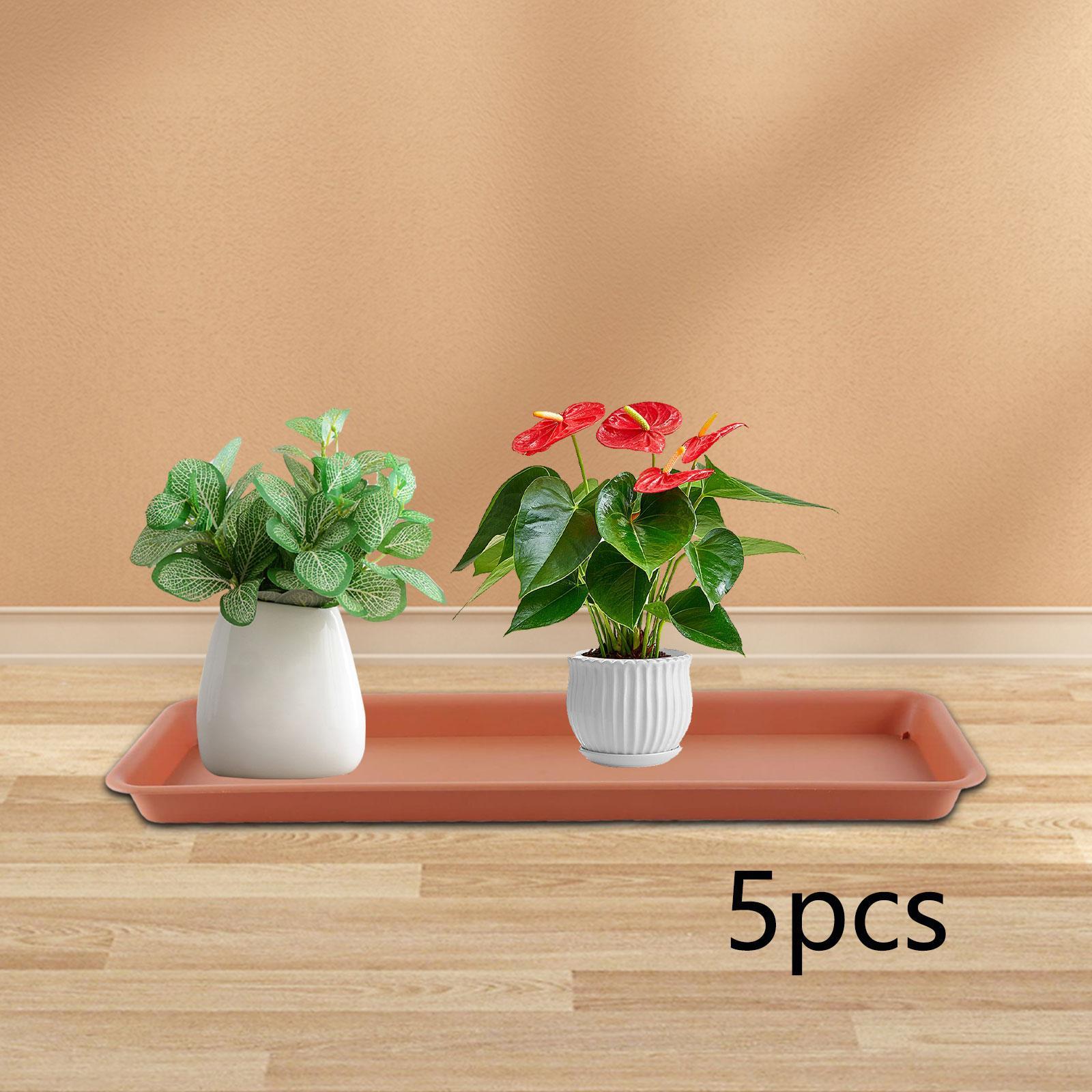 Teras için Yüksek Saksı, Dikdö - Drip Tray Saucer incelemesi ve fiyatı