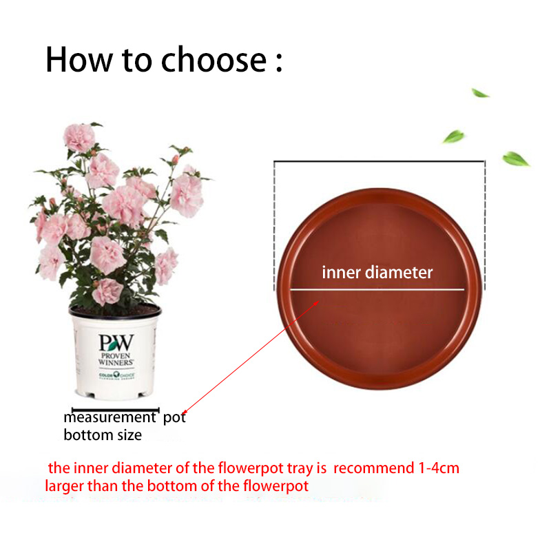 10 adet Plastik Saksı Tepsi Ta - Drip Tray Saucer incelemesi ve fiyatı