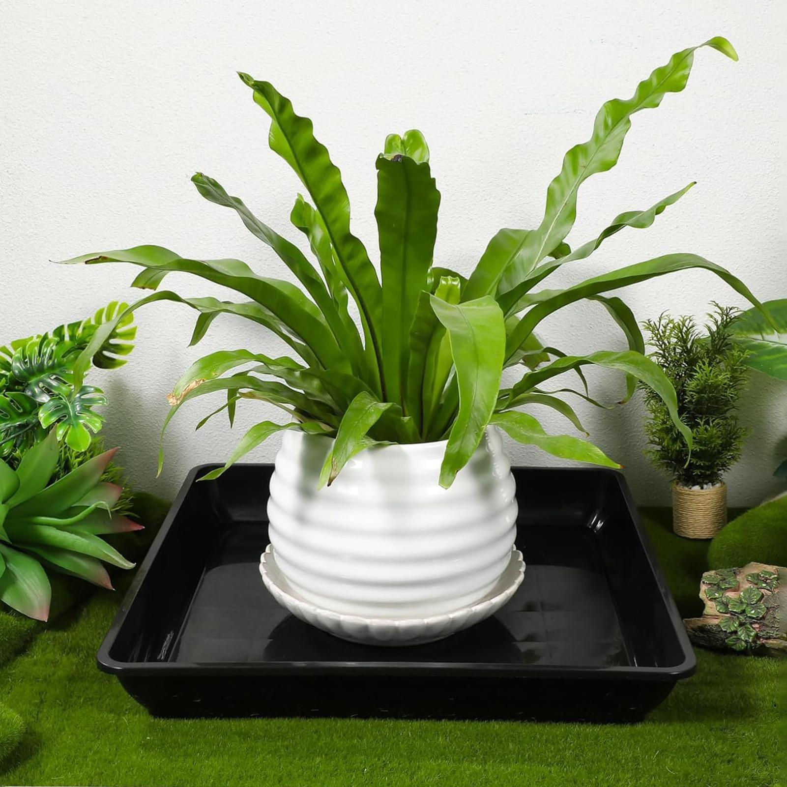 2 adet Saksı Tabanı Kalınlaşmı - Drip Tray Saucer incelemesi ve fiyatı