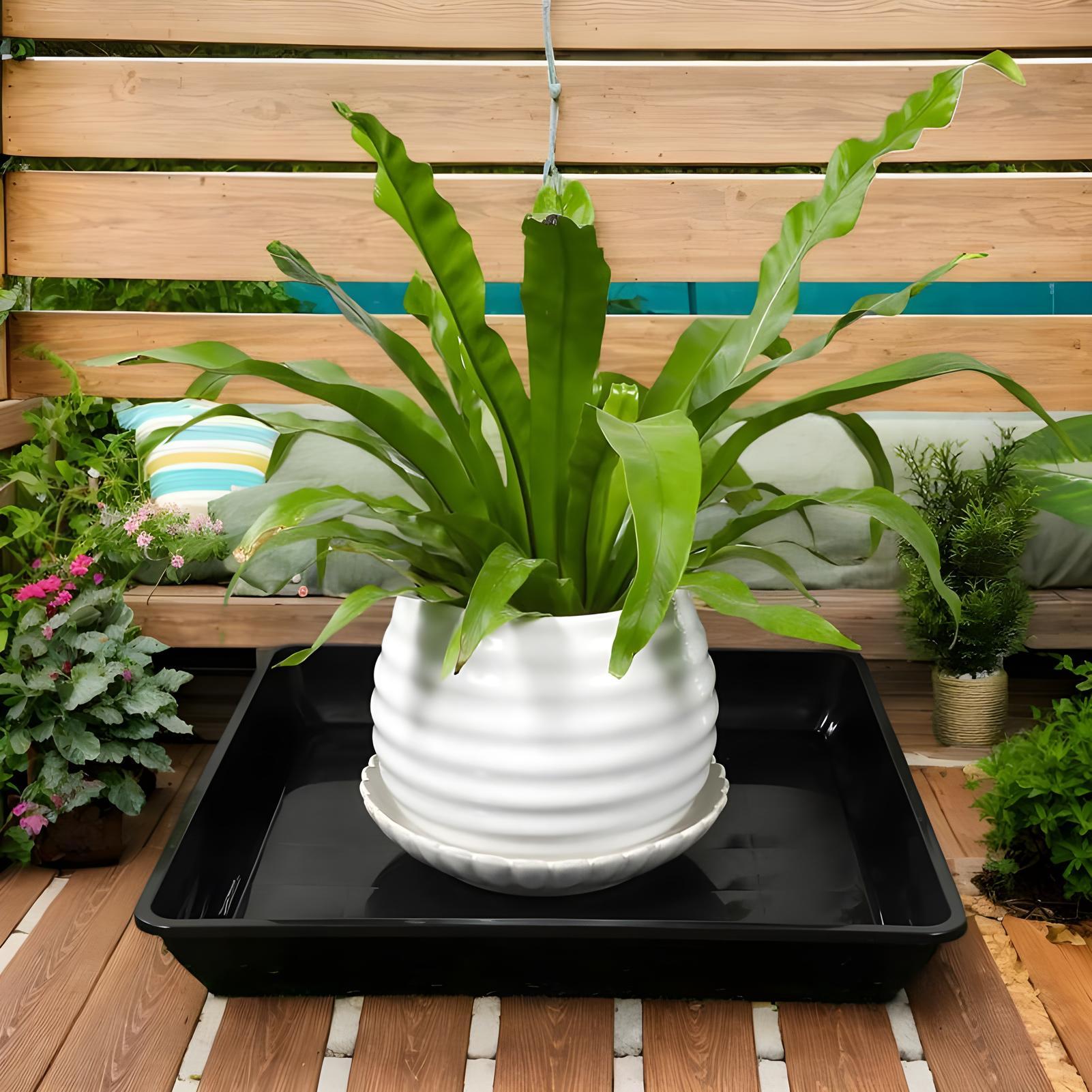 Saksılar için Bitki Tepsileri  - Drip Tray Saucer incelemesi ve fiyatı