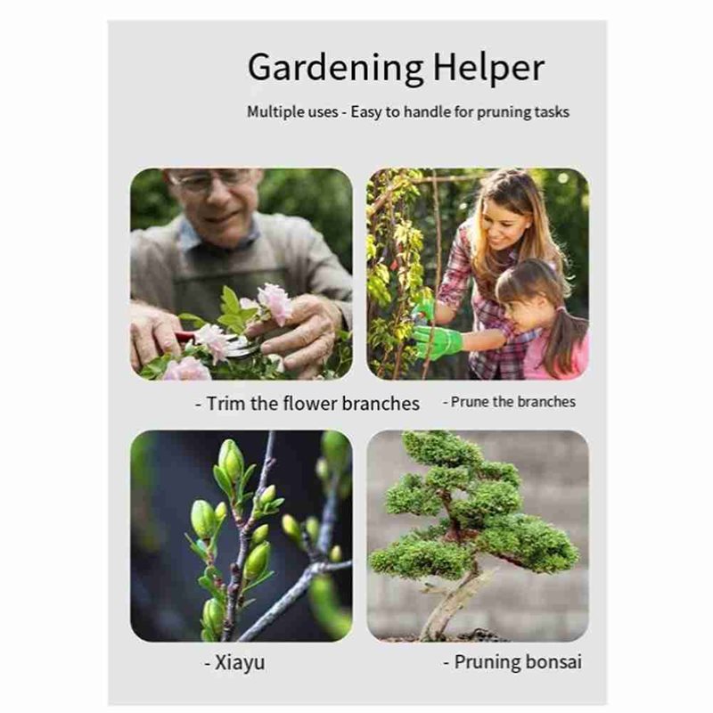 ABGH-Bonsai Ağaç Aletleri, 4 P - Root Hook Tool incelemesi ve fiyatı