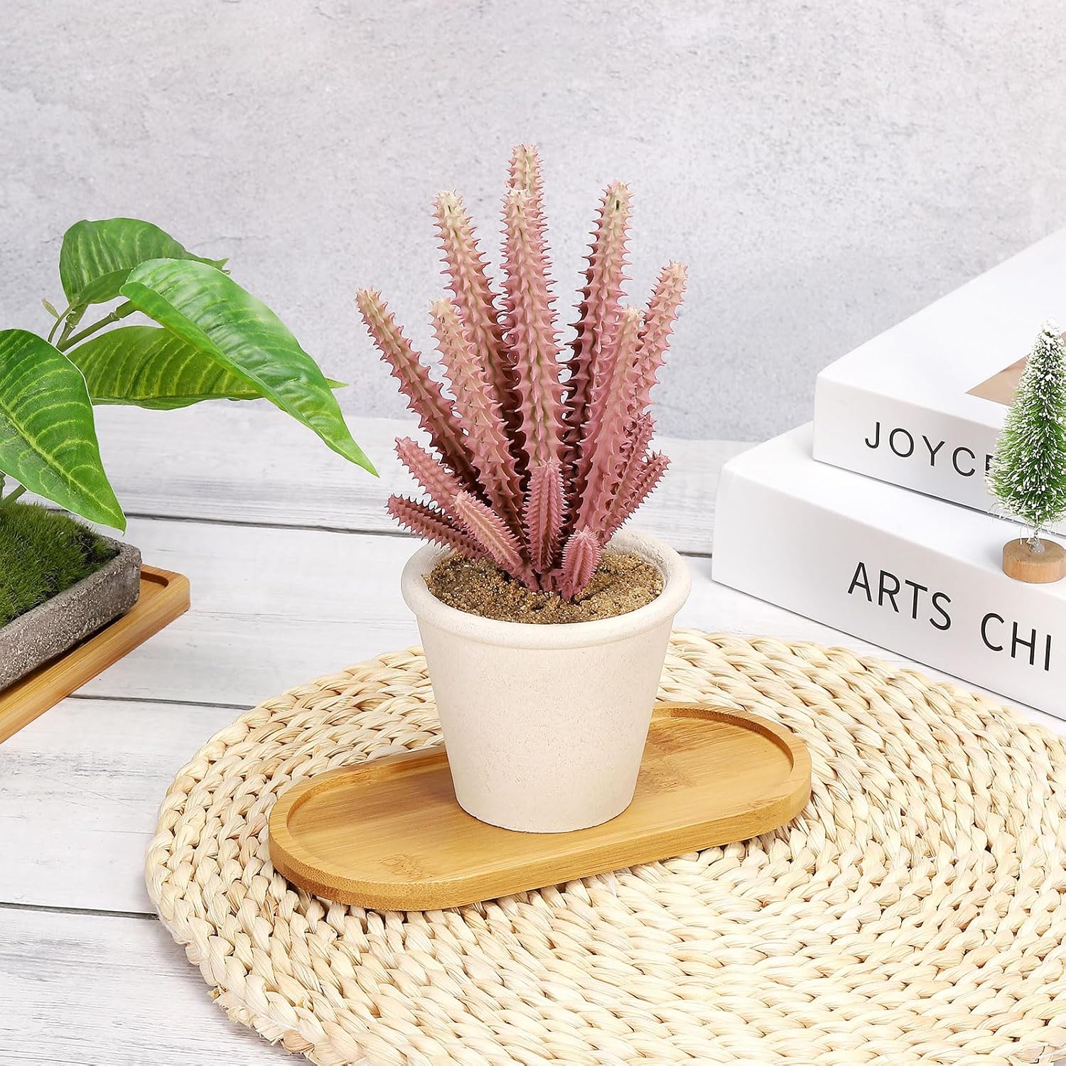 4 adet Bambu Bitki Altlığı Ova - Drip Tray Saucer incelemesi ve fiyatı